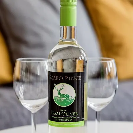 Апартаменты Grand Penthouse *