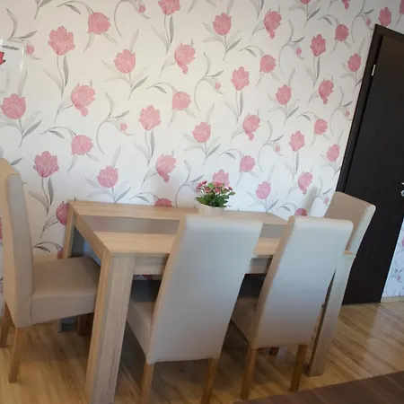 Grand Penthouse 아파트 부다페스트